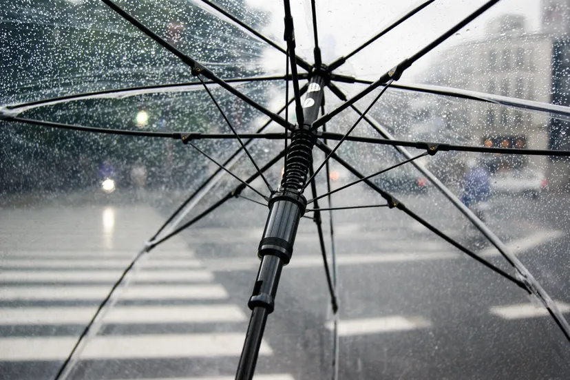 umbrella 4425160 1920