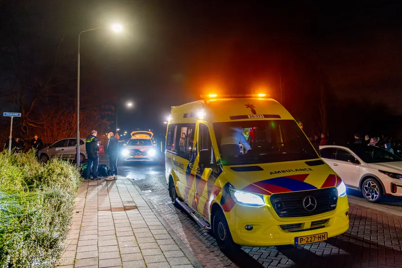 versteeg av producties 1 2