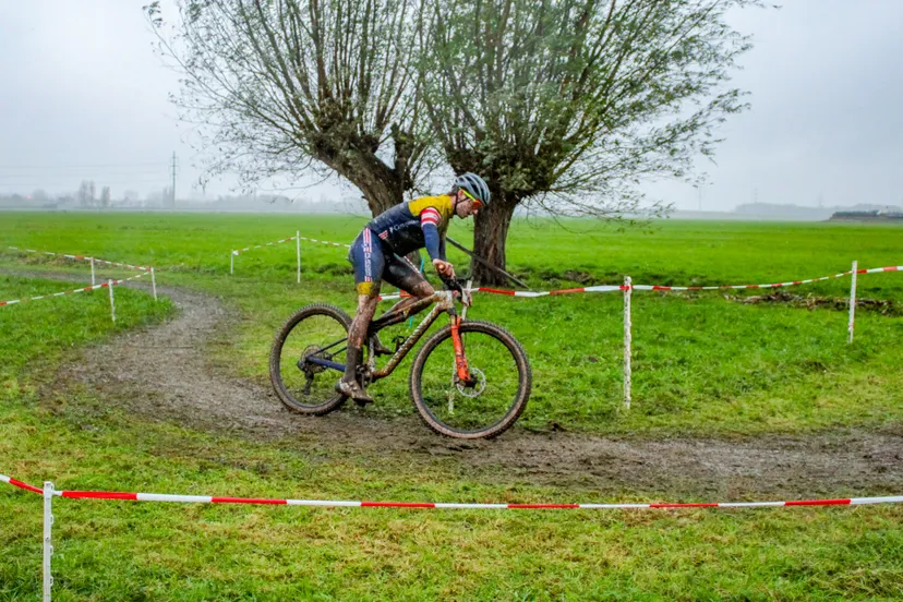 versteeg av producties 1 4