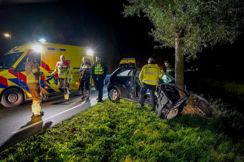 versteeg av producties 1