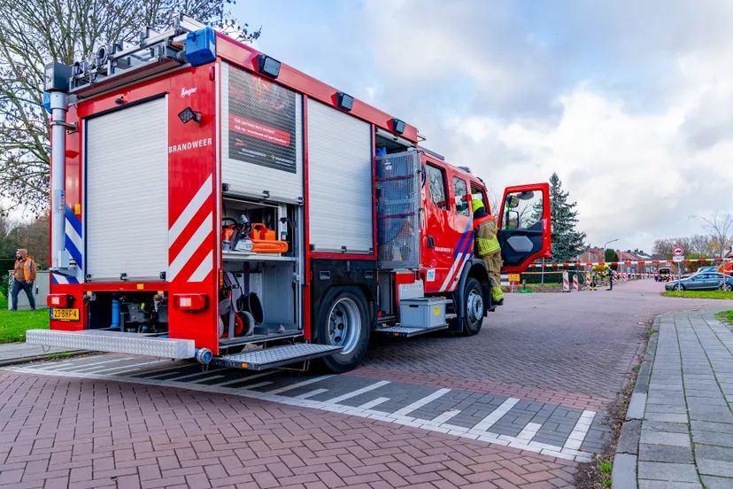 versteeg av producties 3 1