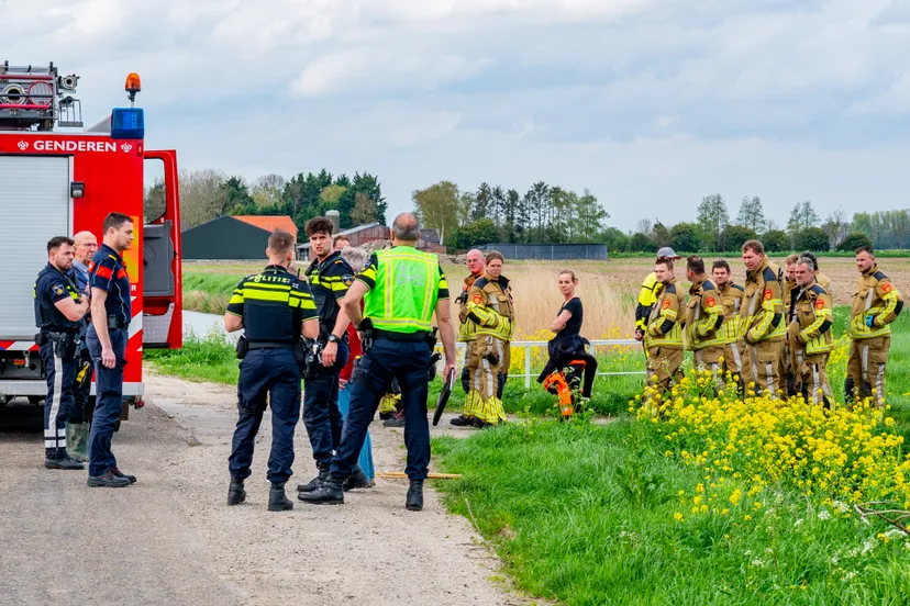 versteeg av producties 4