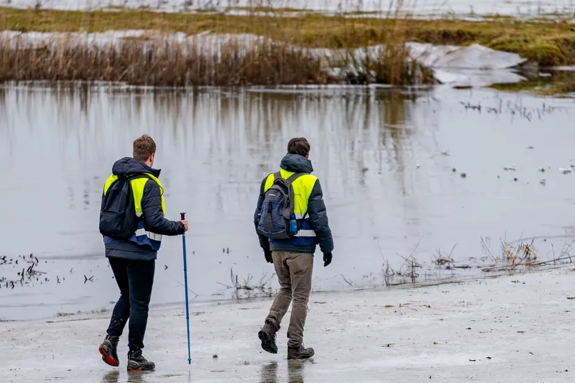 versteeg av producties 6