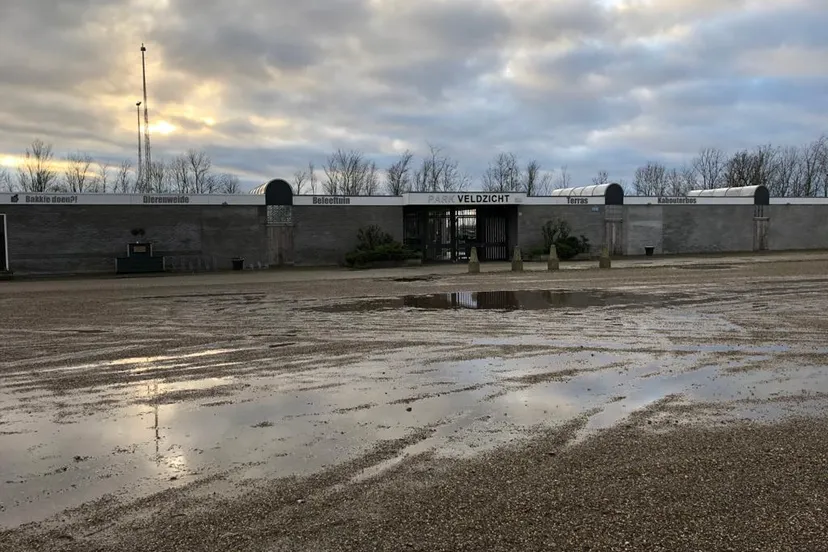 whatsapp image 2021 06 21 at 113544