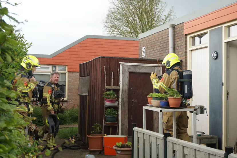 whatsapp image 2024 05 13 at 164749