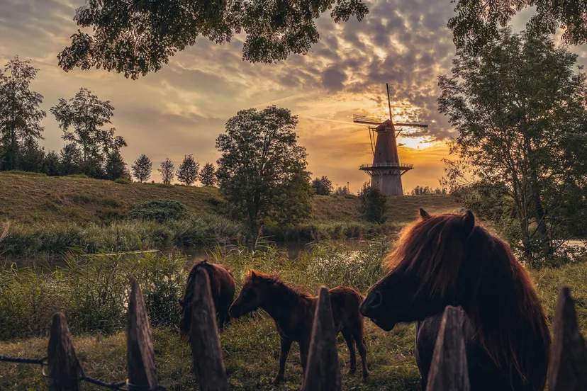 tweede prijs fotowedstrijd oude hollandse waterlinie 2024 patrick ippel woudrichem 2