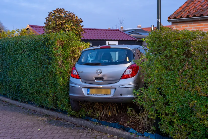 versteeg av producties jv 1