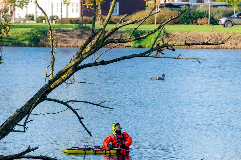 versteeg av producties jv 2