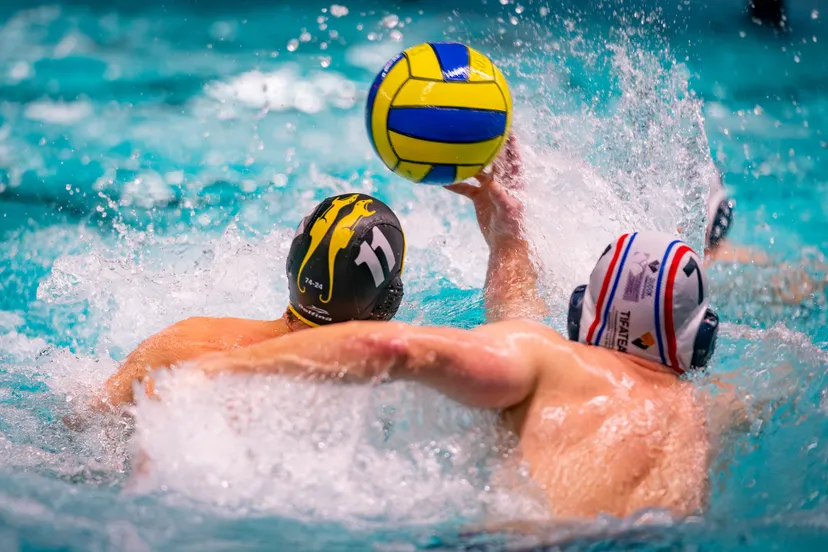 versteeg av producties jv 15