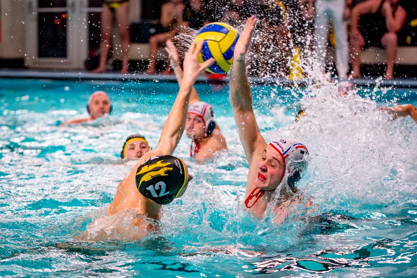 versteeg av producties jv 20