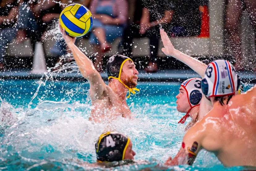 versteeg av producties jv 23