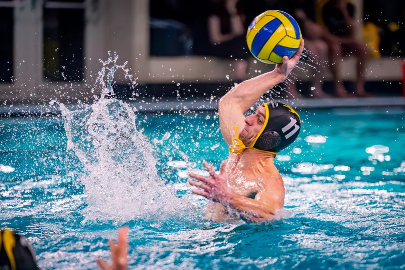 versteeg av producties jv 6