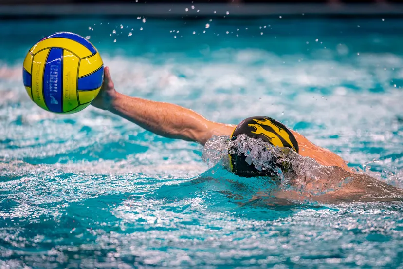 versteeg av producties jv 7