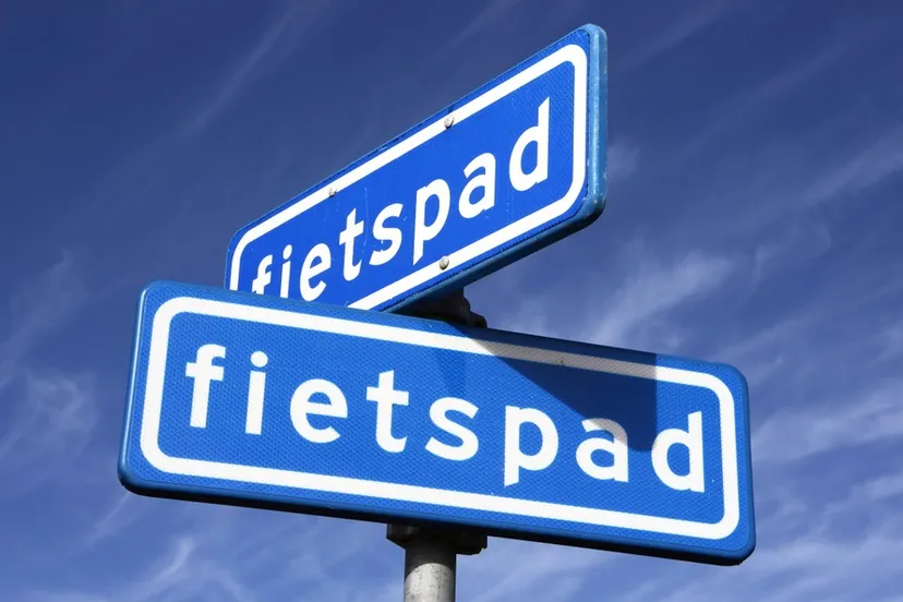 shutterstock 1572635260