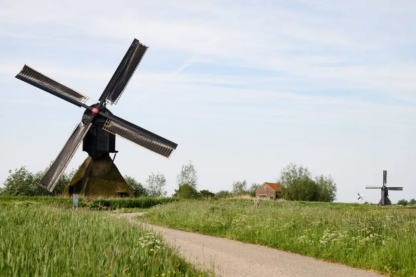 promotiebeeld 2024 08 19 66c322108446a o smakelijke streek high res 37