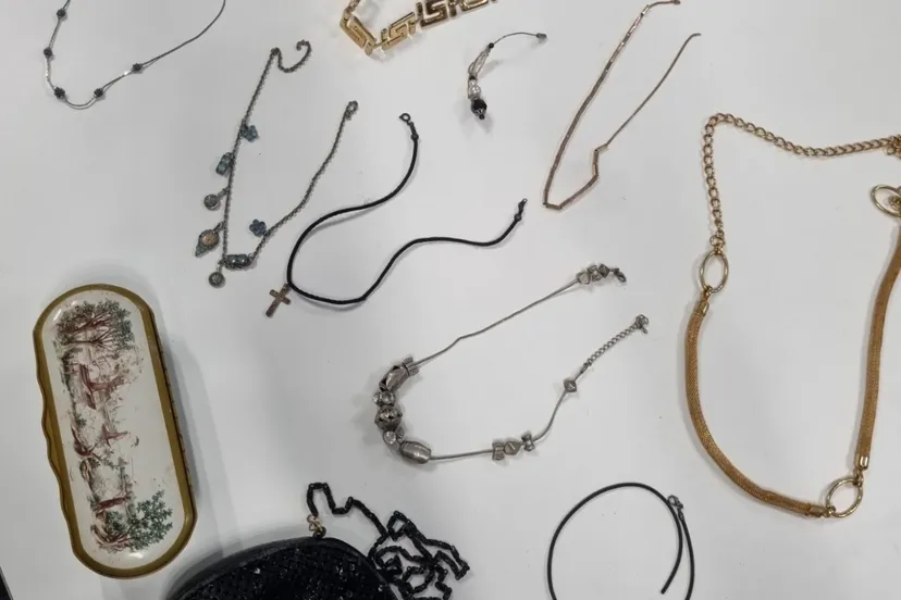 schermafbeelding 2025 02 07 om 135816