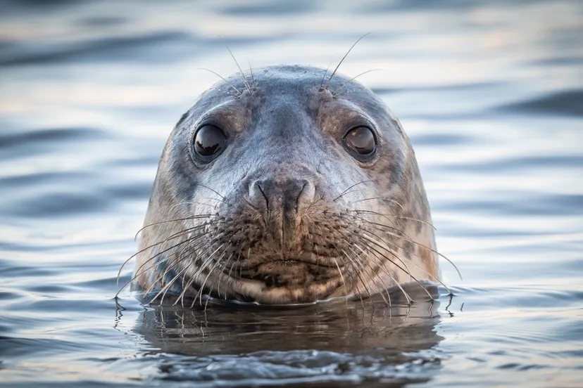 shutterstock 2190601389