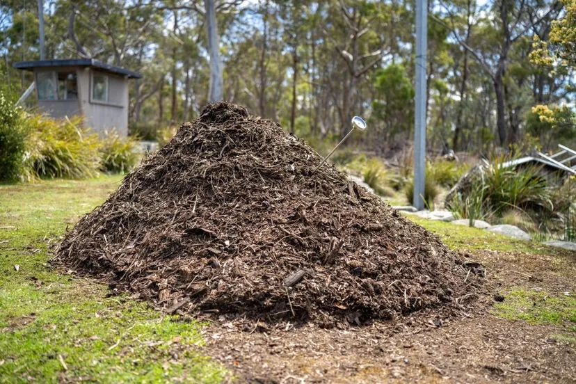 shutterstock 2540627849