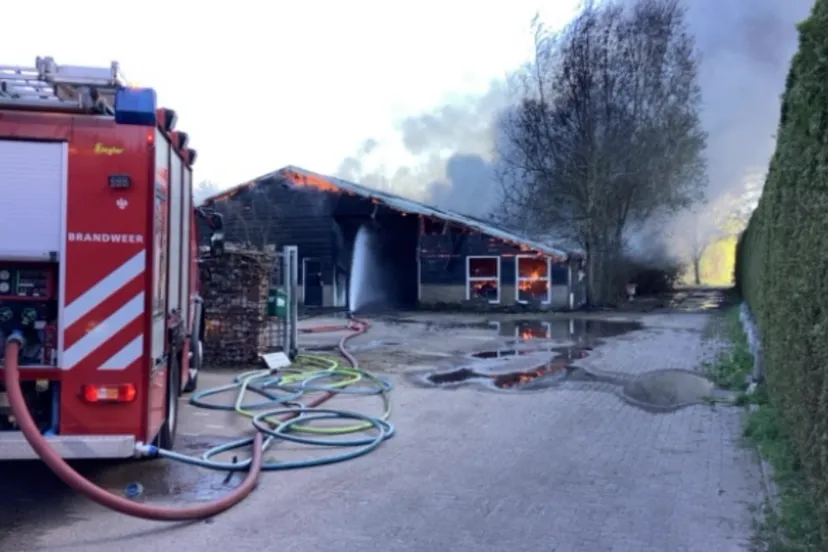 schermafbeelding 2025 04 07 om 172327