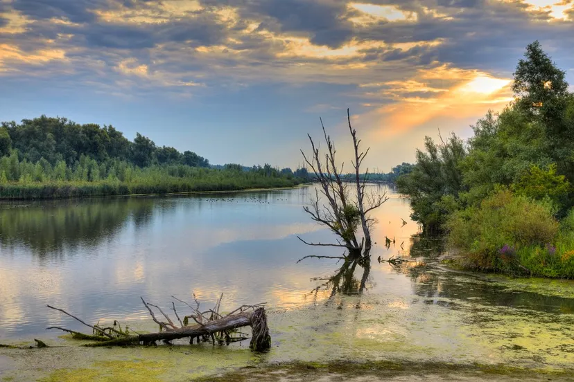 shutterstock 2000591789