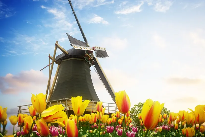 shutterstock 257525644