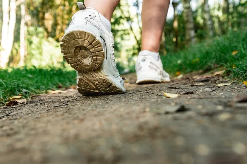 shutterstock 2355170885