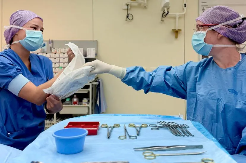 whatsapp_image_2025-07-25_at_11.03.11_0