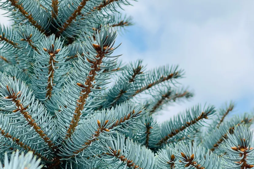 ozgu-ozden-AX5zXRI5lG0-unsplash