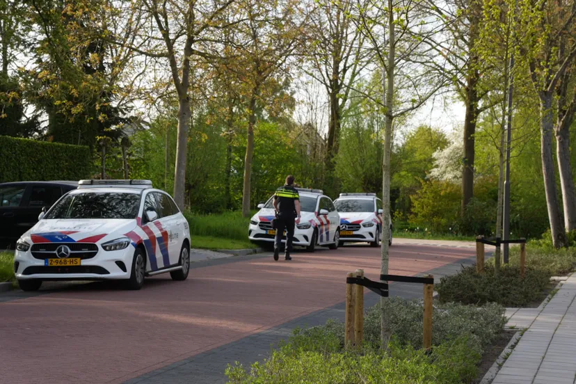 a6d86ebe-fe57-407d-8d39-e41ef5cfc093