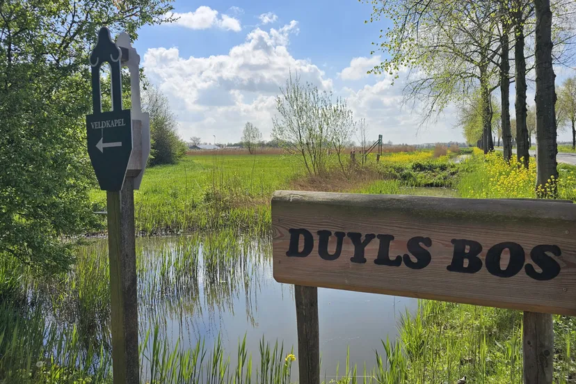 Duyls Bos