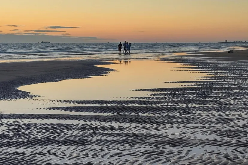 pexels carina van vlerken 691472 12698508