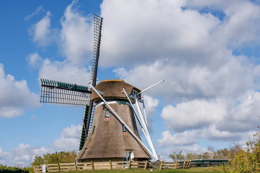 istock 2205334726