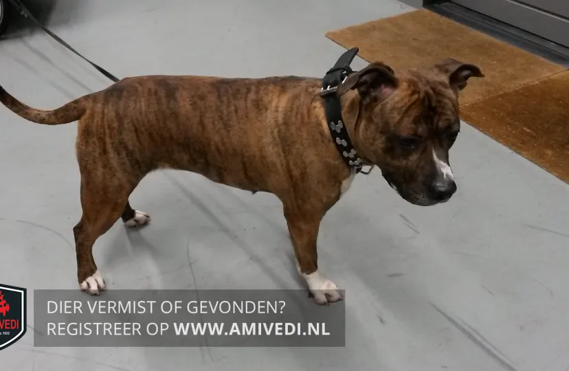 1189292 kfyscw1w xlwm