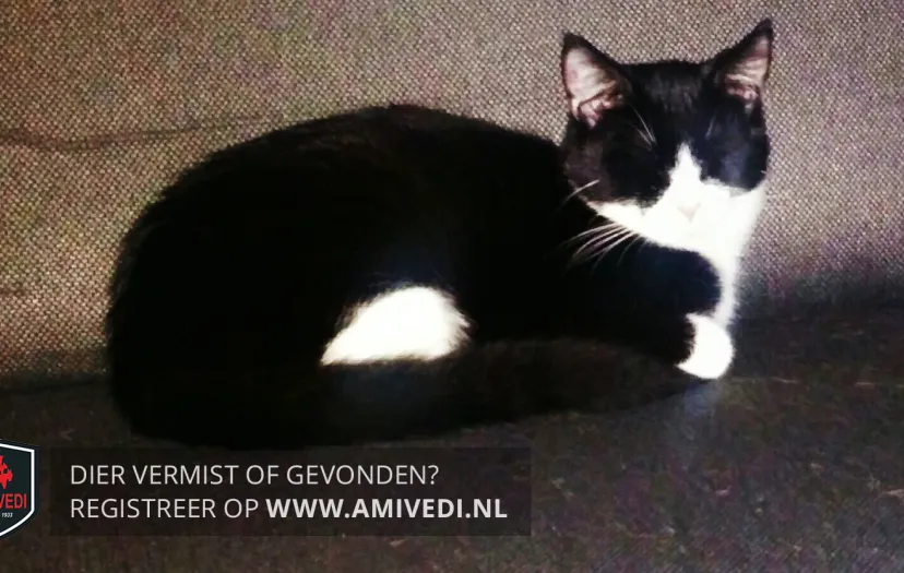 1190229 6r3pytc6 xlwm