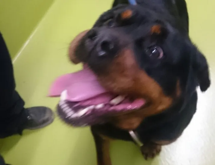 1190441 2pymceab xlwm e1490050127195