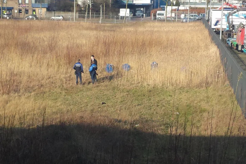 12751898 1030362920359638 2002766743 o