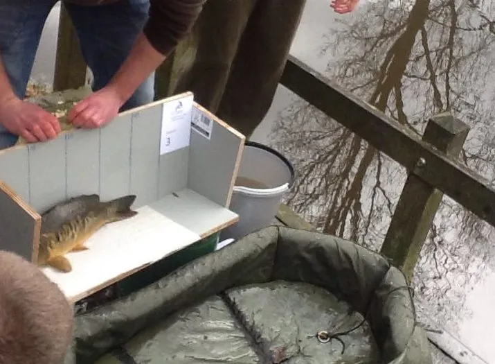 17098220 1940763646152289 3261081687636960344 n e1488664691634