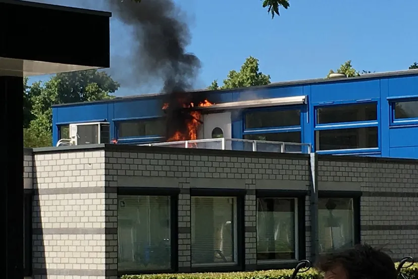 19222834 1418064388230378 9159052824430130584 o