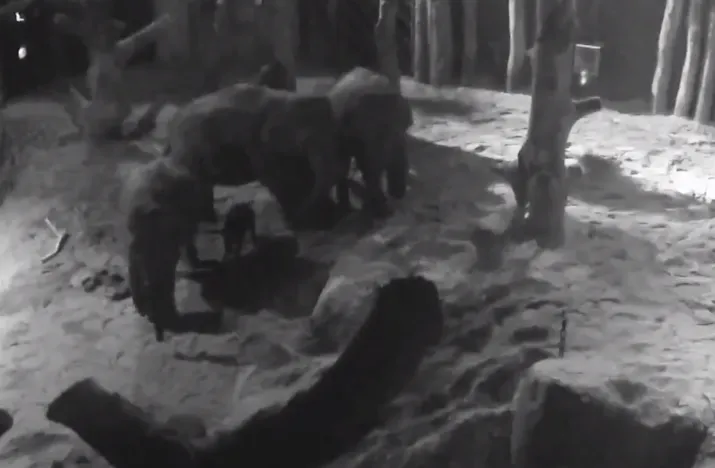 2017 03 25 2 e1490482191301