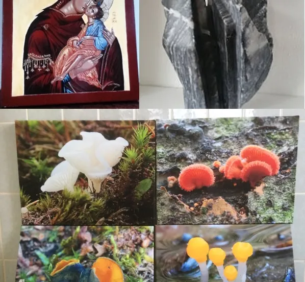 20171026 mrt vanloen