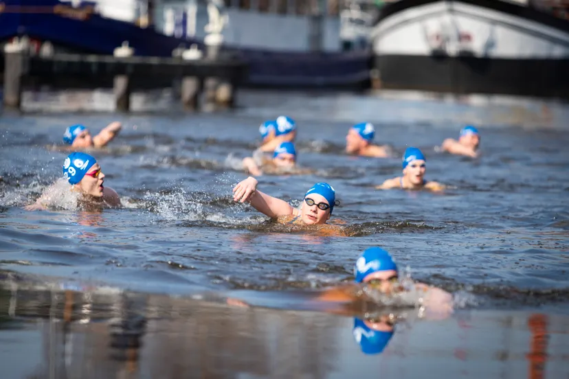 2019 fm promo swim274