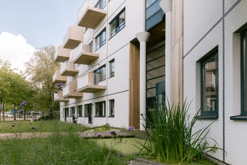 20230712 portaal jellientigelaar web 1