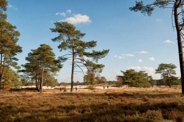 2787 64b6f9cce551eaf4e2a38a9ce360f388