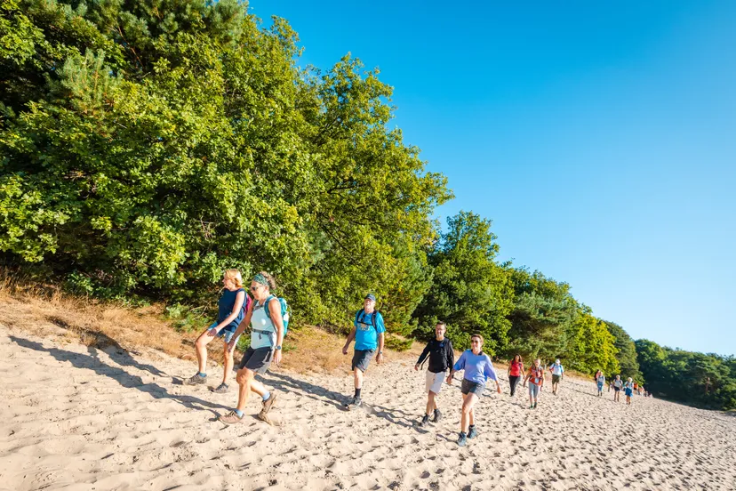 2787 6b3d20fb6bc75fcff10e0cfdd4b18454