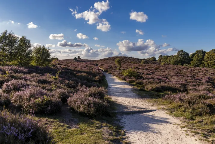 2787 b7356f4c0b385f72805e528b954b01dc