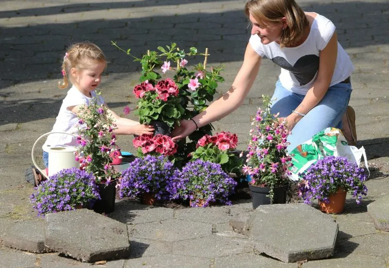 2908 6e745b4a189e3a22e6c3b72a668e6945 e1550044830716