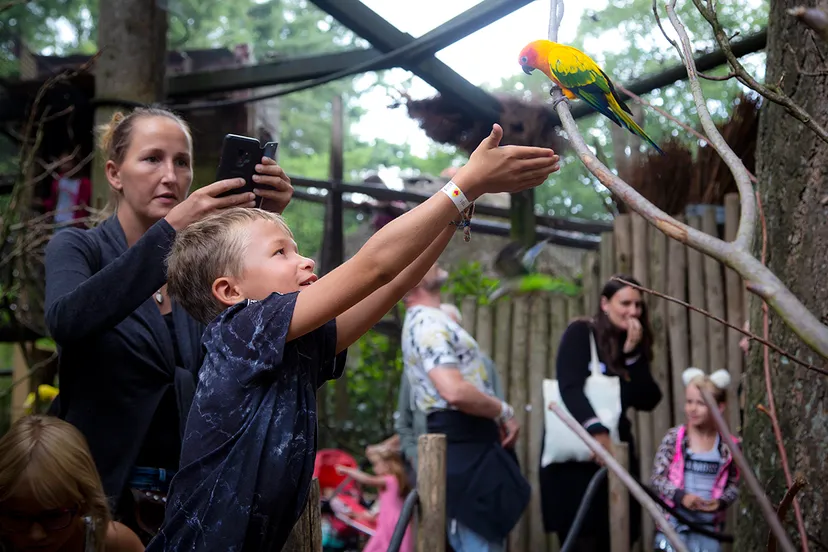 2935 3018b0c916408327596c18fd33e79ae4