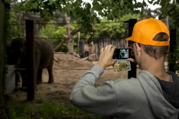 2935 4782445e0e53b3a6d3496761153efe70