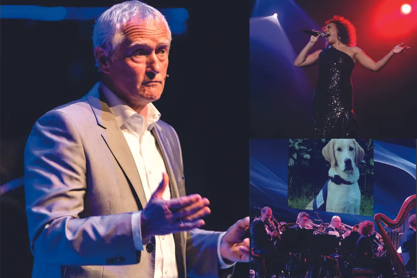 3187 1e13803b068847a9280e79e8492eecb3