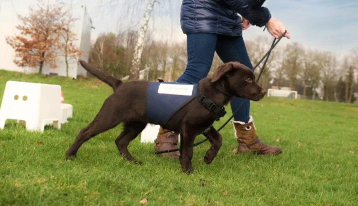 3187 b479eb37a5f42f809bb400bbd66f3728 e1525117234977